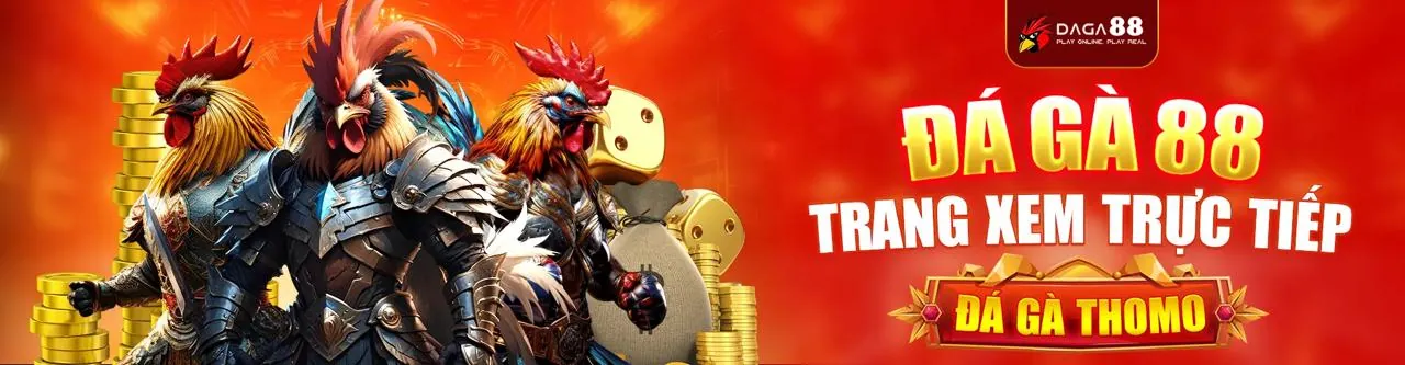 Sân đấu đá gà trực tuyến nohu 28 win